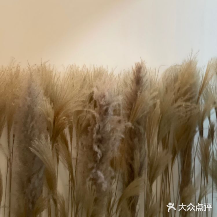 汕尾海丰探店|浅浅过个生日8⃣️