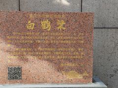 -白鹤梁水下博物馆