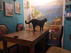 -猫小院猫主题咖啡厅(北锣店)