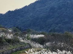 -浙西天池景区