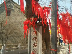-杨家埠民间艺术大观园