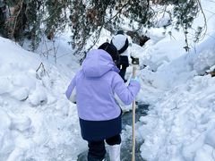 -峡谷浮石林景区