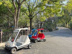 -石家庄市动物园