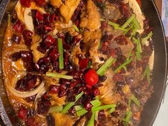 -老板恋上鱼(印象城店)