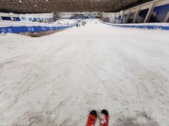 -绍兴启迪乔波冰雪世界