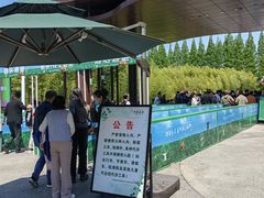 -黄海国家森林公园