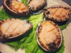 鲜活小鲍鱼-金龙·打边炉(武进路店)