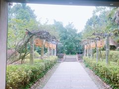 -天赐温泉