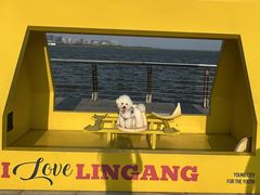 -翊宠yipet猫狗购宠庄园犬舍•猫舍