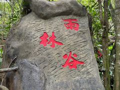 -呀诺达热带雨林