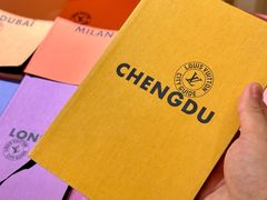 -乐蓬马歇百货公司(Rive Gauche)