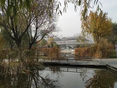 -西安市长乐公园