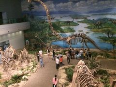 -自贡恐龙博物馆