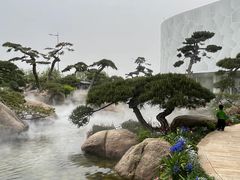 -罗红摄影艺术馆