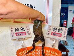 -邓莽子老火锅(中兴路总店)