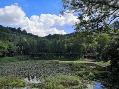 -番禺大夫山森林公园