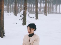 -武陵山森林公园