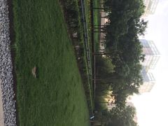 iphone_upload_pic-The place那儿(新城国际店)