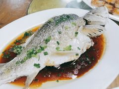 清蒸龙趸鱼-田源农家饭店·窑鸡王·海鲜(东部湾·融创店)
