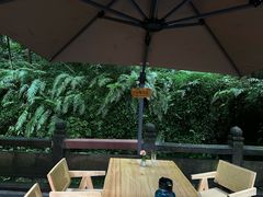 -青城山