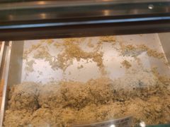 -鲍师傅糕点(虹口龙之梦店)