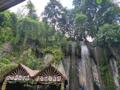 -西双版纳原始森林公园