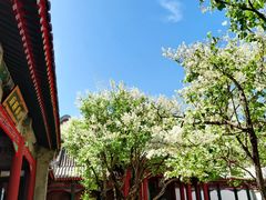 -宫事颐庭·老佛爷贵寿下午茶(颐和园店)