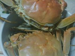 -喜洋洋蟹庄(阳澄湖店)
