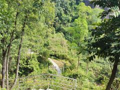 -火炉山森林公园