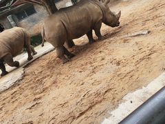 -昆明动物园