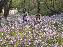 -金龙寺国家森林公园