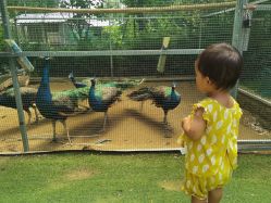 -萌宠亲子动物乐园(槐房万达店)