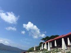 -珊瑚岛