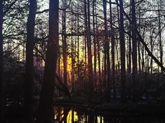 -南宋胡记(杭州灵隐寺店)