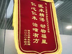 -中农国际动物医院24小时·猫科·骨科·急重症中心