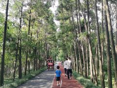 -上海长兴岛郊野公园