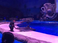 -华夏文旅海洋公园