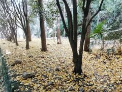 -武当山风景区-太子坡