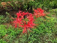 -南京市无想山景区