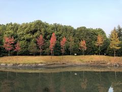 -江南大学(蠡湖校区)