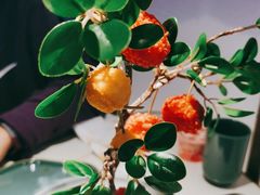 -新辣道鱼火锅(西直门店)