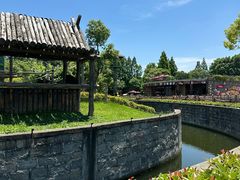 -上海野生动物园