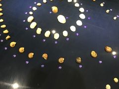 -青岛贝壳博物馆