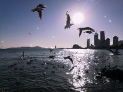 -栈桥景区