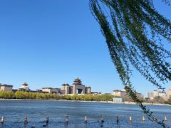 -莲花池公园