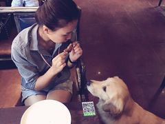 -百好乐宠物友好餐厅(朝外大街店)