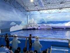 -秦皇岛乐岛海洋王国