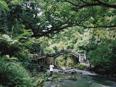 -广州市石门国家森林公园