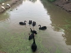 -江天生态园餐厅
