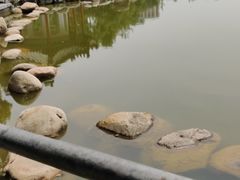 -莲湖公园